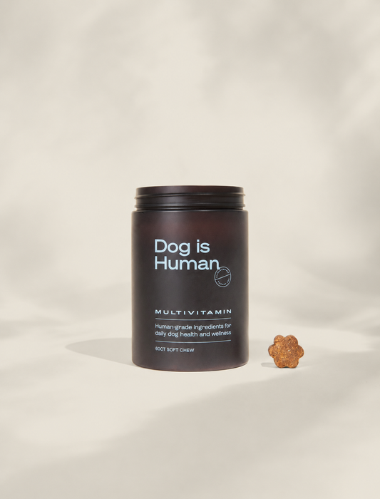 DM-01™ - Daily Multivitamin